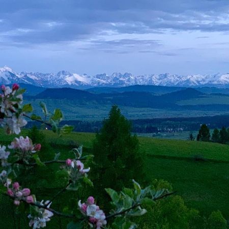 Koza U Woza Wypocznij W Gorach W Rytmie Slow Drewniany Dom Premium Z Widokiem Na Panorame Tatr Ecospa Strefa Fitness Zielona Farma Warsztaty (Adults Only) Szlembark Dış mekan fotoğraf