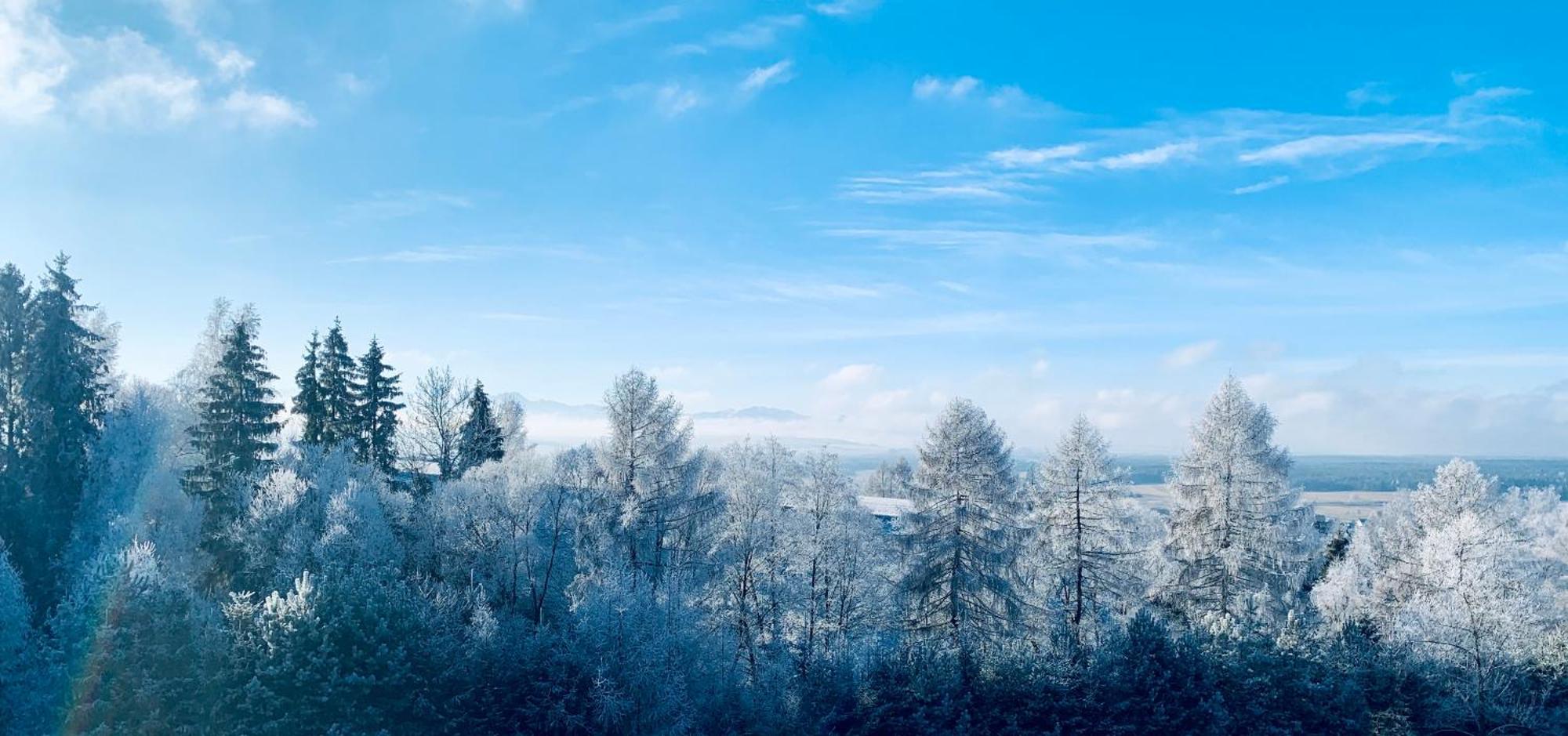 Koza U Woza Wypocznij W Gorach W Rytmie Slow Drewniany Dom Premium Z Widokiem Na Panorame Tatr Ecospa Strefa Fitness Zielona Farma Warsztaty (Adults Only) Szlembark Dış mekan fotoğraf