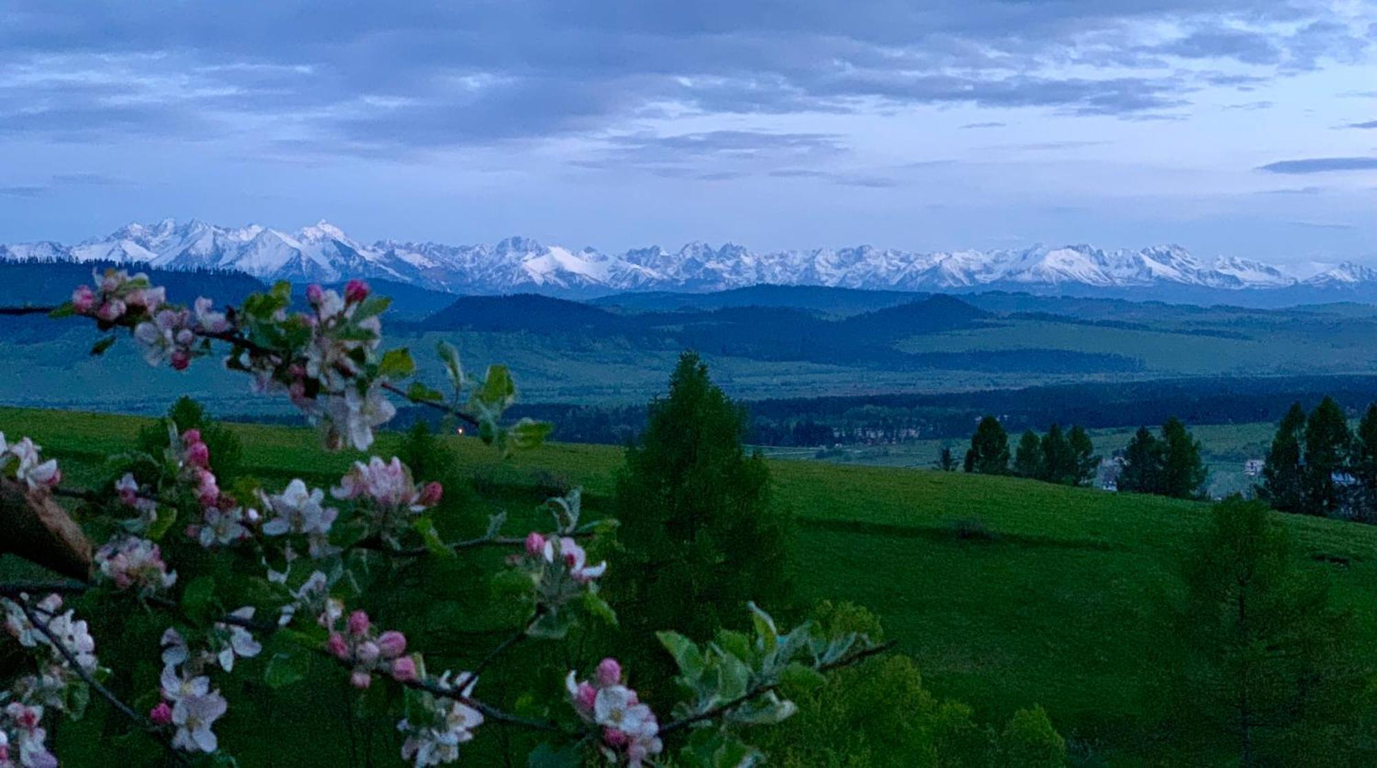 Koza U Woza Wypocznij W Gorach W Rytmie Slow Drewniany Dom Premium Z Widokiem Na Panorame Tatr Ecospa Strefa Fitness Zielona Farma Warsztaty (Adults Only) Szlembark Dış mekan fotoğraf