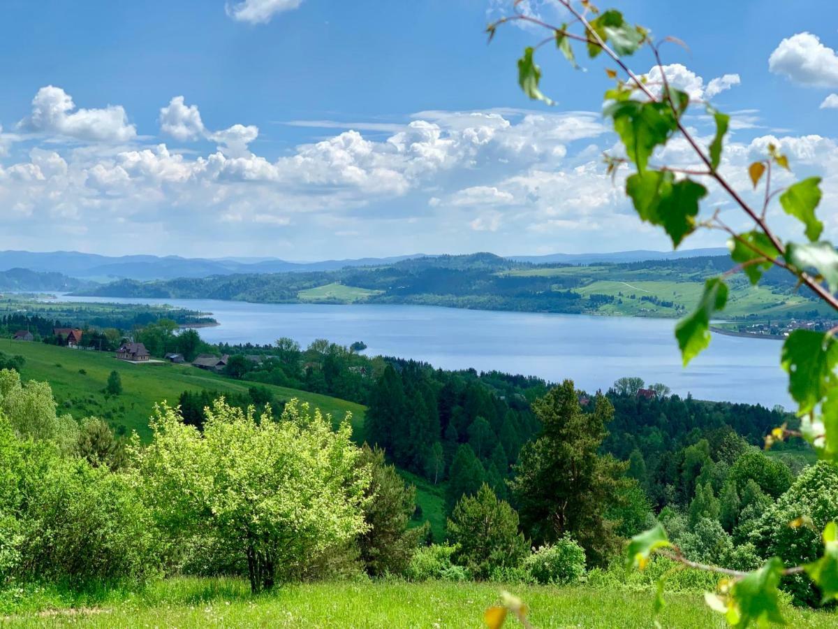 Koza U Woza Wypocznij W Gorach W Rytmie Slow Drewniany Dom Premium Z Widokiem Na Panorame Tatr Ecospa Strefa Fitness Zielona Farma Warsztaty (Adults Only) Szlembark Dış mekan fotoğraf